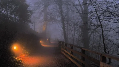 Three spectral ghosts walk inside a terrifying night forest in the fog Stock Footage 124484563