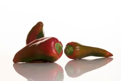 Three spicy peppers Stock Photos