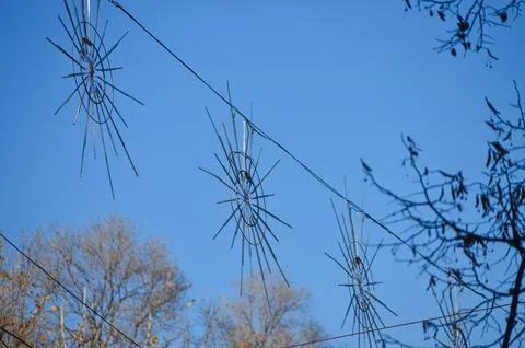 Three spider webs hanging from a wire Stock Photos