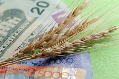 Three spikelets of wheat lie on the banknotes of the United States and Kazakh Stock Photos