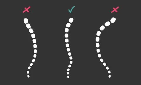 Three spines on the screen. Vector Illustration Doctor Studying Problems Spine Stock Illustration