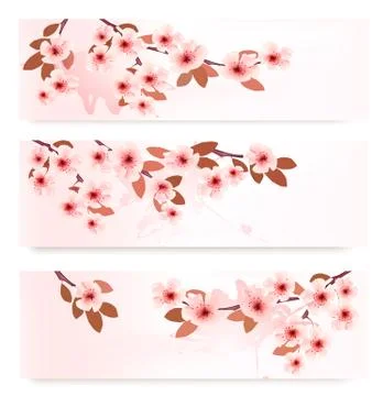 Three spring banners with blossoming branches with pink flowers. vector illus Stock Illustration