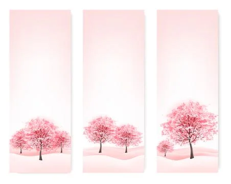 Three spring banners with blossoming sakura trees. vector. Stock Illustration
