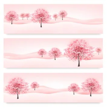 Three spring banners with blossoming sakura trees. vector. Stock Illustration
