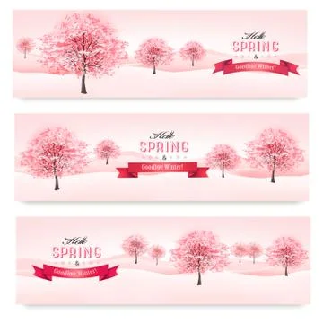 Three spring banners with blossoming sakura trees. vector. Stock Illustration