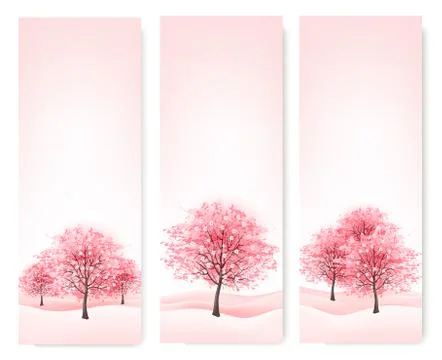Three spring banners with blossoming sakura trees. vector. Stock Illustration