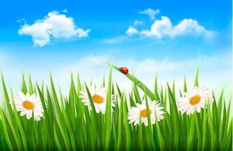 Three spring banners with blossoming tree brunch with spring flowers. vector  Stock Illustration