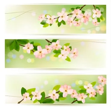 Three spring banners with blossoming tree brunch with spring flowers. vector  Stock Illustration
