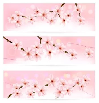 Three spring banners with blossoming tree brunch with spring flowers. vector. Stock Illustration