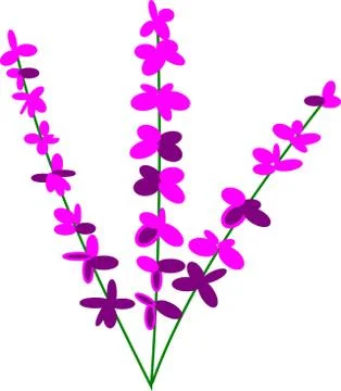 Three springs of lavender 库存插图