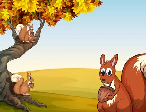 Three squirrels with nuts at the big tree Stock Illustration