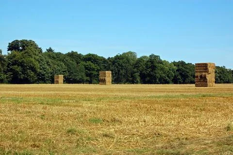 Three stacks of straw Stock Photos