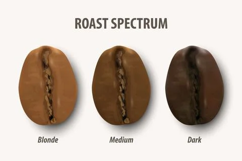 Three Stage Roasting Coffee. Vector 3d Realistic Coffee Beans. Textured Roasted Illustrazione stock