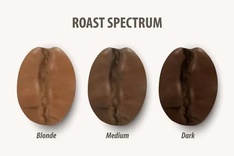 Three Stage Roasting Coffee. Vector 3d Realistic Coffee Beans. Textured Roasted 스톡 일러스트