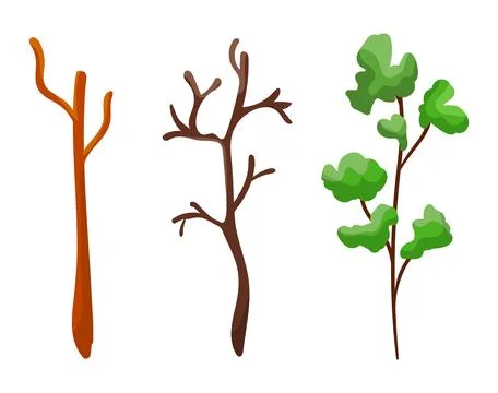Three stages of tree growth from bare to leafy. Cartoon sapling development Stock Illustration