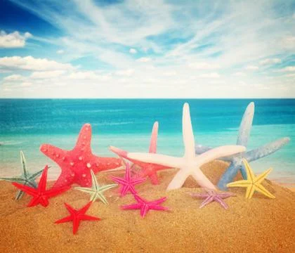 Three starfish in sand Stock Photos