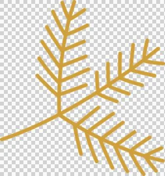 Three-stem gold pine branch is displaying needle offshoots in flat design with Stock Illustration