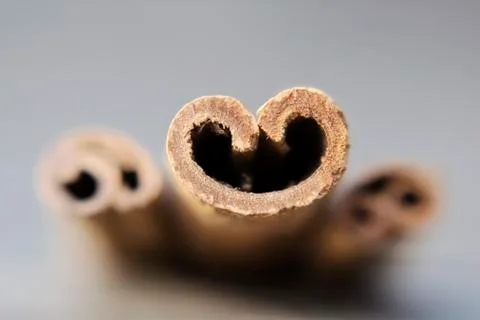 Three sticks of cinnamon cut in close-up Stock Photos
