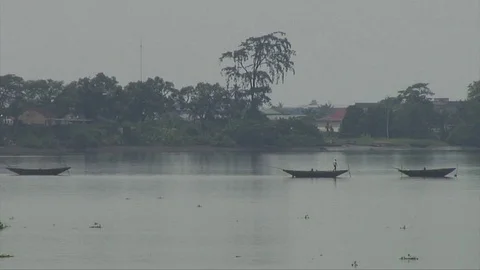 Three still pirogues on Wouri river Stock Footage 80840034