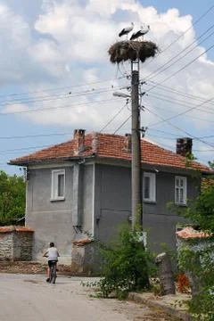 Three storks and boy Foto stock