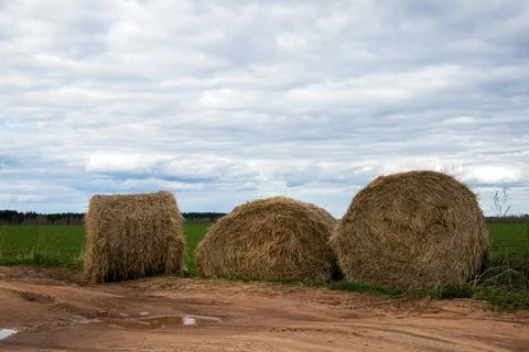 Three straw bales lying close to the sandy road Stock Photos
