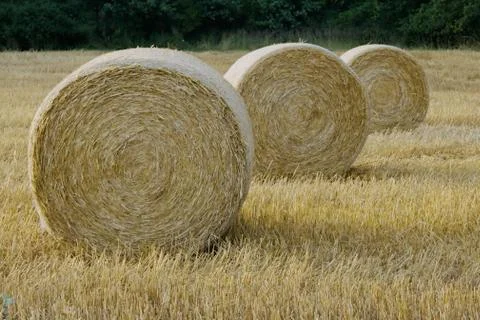 Three straw bales Stock Photos