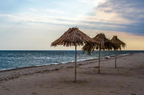 Three straw beach umbrellas on an empty seashore on a clear day Stock Photos