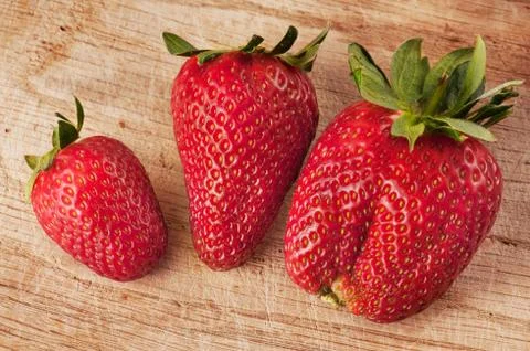 Three strawberries of different shapes Stock Photos