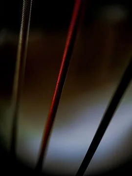 Three strings of a harp. Stock Photos