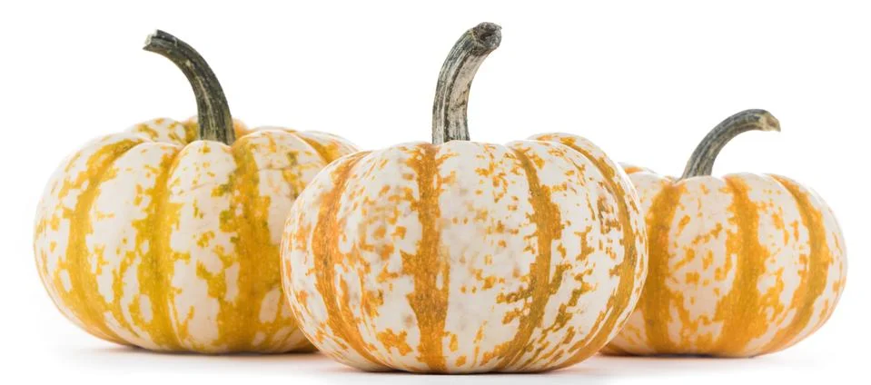 Three striped pumpkins Stock Photos