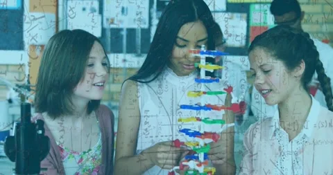Three students, center student starting assembly, adjusting colorful DNA model Stock Footage 331286940