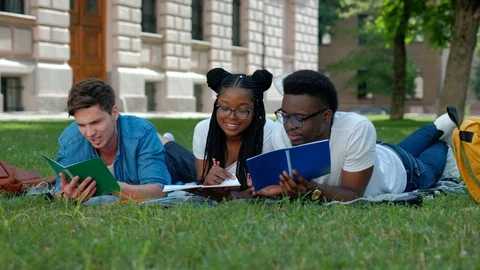 Three students studying reading notes together outdoors sitting on the grass Stock Footage 111877817