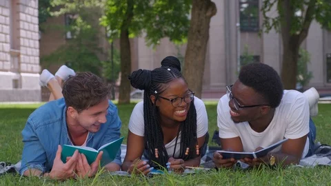 Three students studying reading notes together outdoors sitting on the grass Stock Footage 111878850