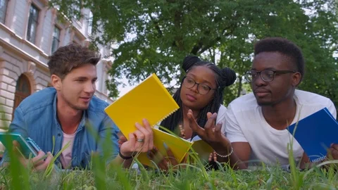 Three students studying reading notes together outdoors sitting on the grass Stock Footage 111879264
