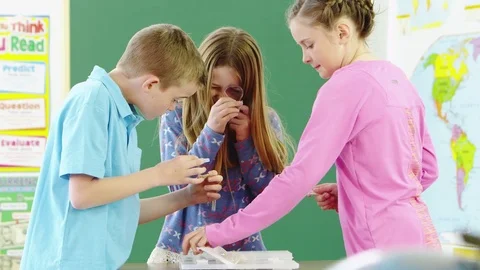 Three students studying rocks with magnifying glass Stock-Footage 80131616