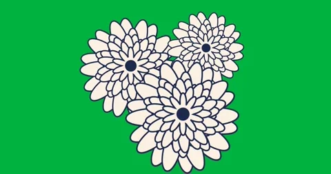 Three stylized flowers floating on transparent background, featuring layered Stock Footage 317527315