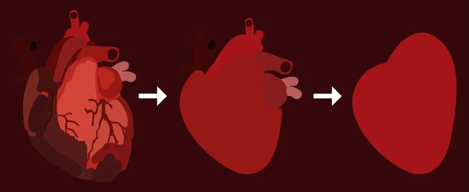 Three stylized human hearts of varying degrees of detail on a dark burgundy b Stock Illustration