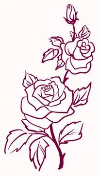 Three stylized pale roses  isolated on light  background Stock Illustration