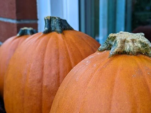 Three Sugar Pumpkins sit on a window sill in a row Stock Photos