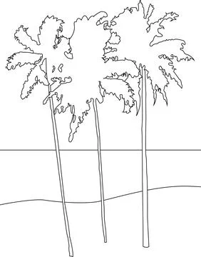 Three summer palm trees drawn in outline on a white background Stock Illustration