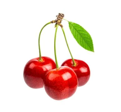 Three sweet cherries with the leaf isolated on a white background Stock Photos