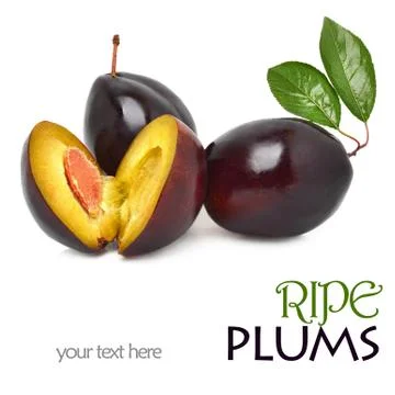 Three sweet plums Illustrazione stock