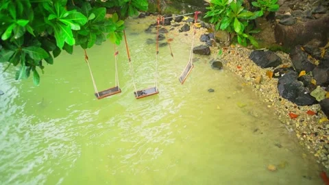 Three swings hanging under a tree by the seaside Stock Footage 332380539