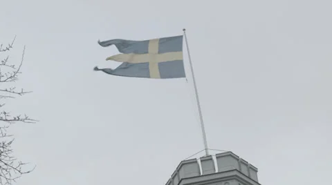 Three tailed Swedish Navy Flag Stock Footage 33994635