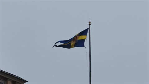 Three-tailed Swedish royal standard flag with greater coat of arms Stock Footage 338391659