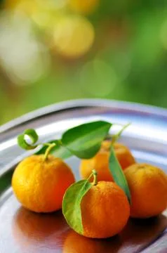 Three  tangerines Stock Photos