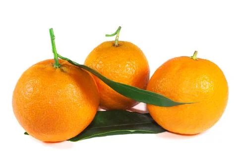 Three tangerines Stock Photos