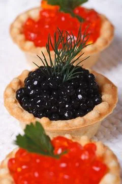 Three tartlets with red salmon caviar and sturgeon caviar black closeup. ve.. Stock Photos