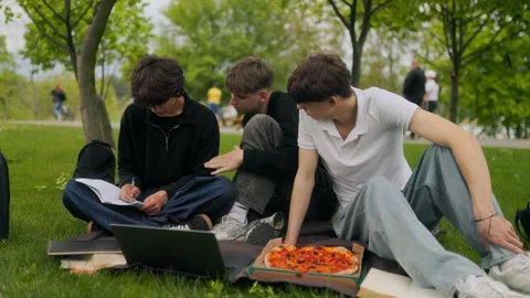 Three Teen Students Doing Homework with Laptop and Pizza in Green Park Stock-Footage 334860319