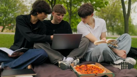 Three Teenage Students Using Laptop Near Pizza Box in Sunny Green Park Stock Footage 334859889